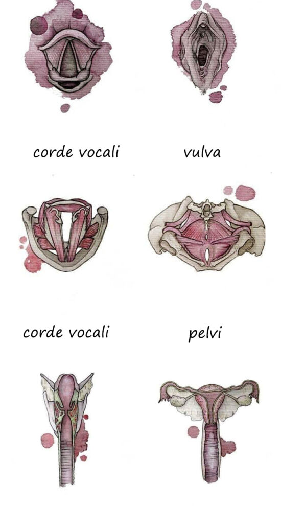 gola utero